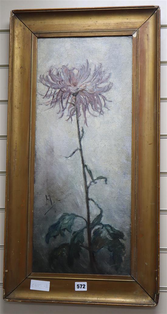 Attributed to Piet Mondrian, oil on panel, Study of a chrysanthemum, monogrammed, 63 x 26cm